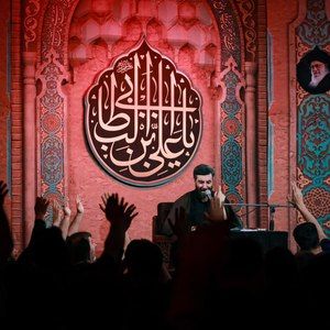 مثل من حال کسی حال اسف‌باری نیست رضا نریمانی