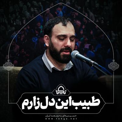 طبیب این دل زارم سید مهدی حسینی