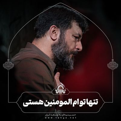 تنها تو ام‌المومنین هستی سید امیر حسینی