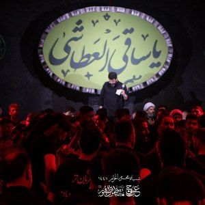 کوه شهامت زینب ابوذر روحی