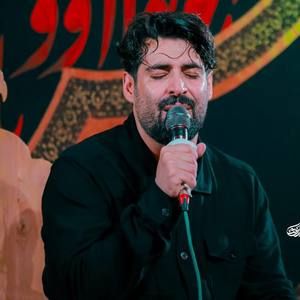وقتی یا حسین میخونم مهدی رعنایی