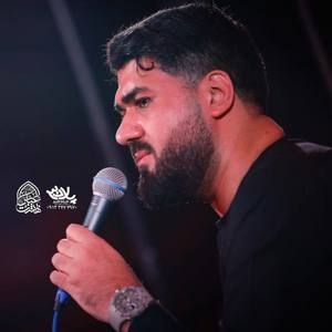 شوق زیارت حسن عطایی