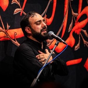 نوگل باغ مجتبی هستم سید مهدی حسینی