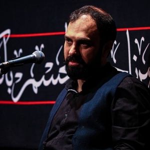 چقدر شوق پر زدن داری سید مهدی حسینی