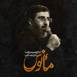 رضا نریمانی