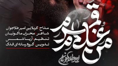 دارمو بین زلف مایلت زدم امیر طلاجوران