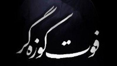 عطر خاک پیدا شد بعد بارش نم نم امیر کرمانشاهی