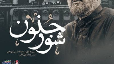 تویی شور جنون من محمد حسین پویانفر
