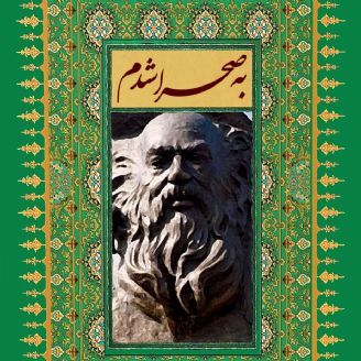 به صحرا شدم