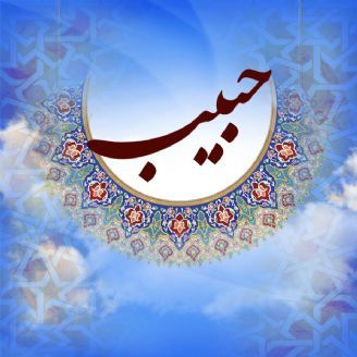 حبیب