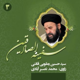 سفینه الصادقین: شرح حال آیتالله سید حسین یعقوبی قائنی (جلد سوم)