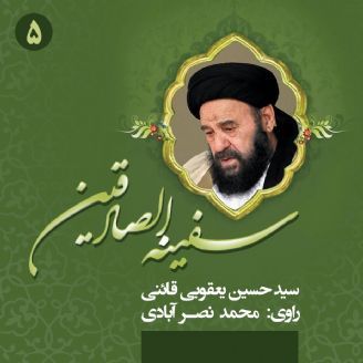 سفینه الصادقین: شرح حال آیتالله حاج سید حسین یعقوبی قائنی(جلد پنجم)