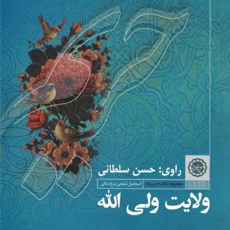 ولایت ولی الله
