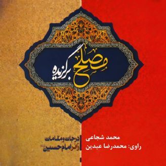 مصلح برگزیده